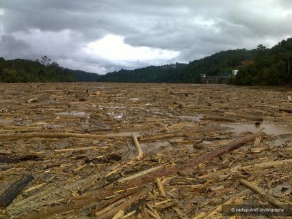 Download this Kenapa Sungai Rajang Kuning Airnya picture